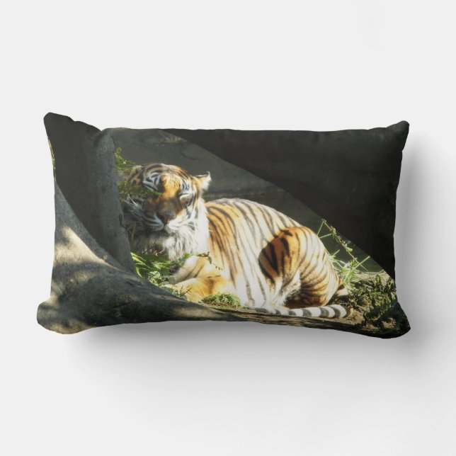Tiger Catnap Lumbar Pillow (Front)