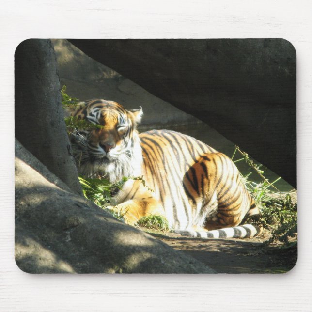 Tiger Catnap Mouse Pad (Front)