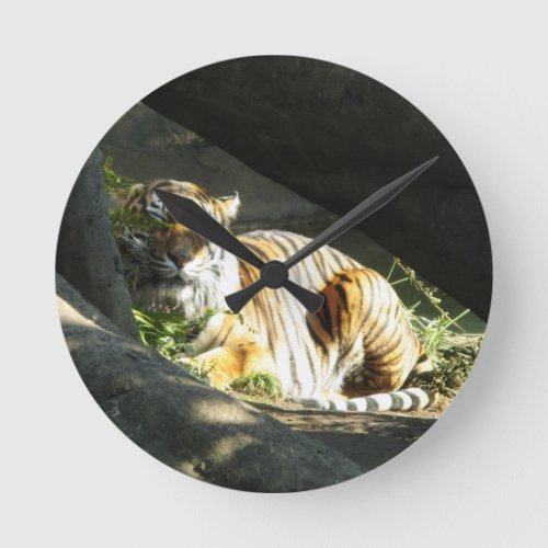 Tiger Catnap Round Clock