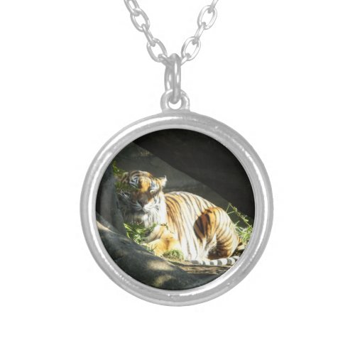 Tiger Catnap Silver Plated Necklace
