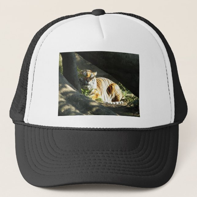 Tiger Catnap Trucker Hat (Front)