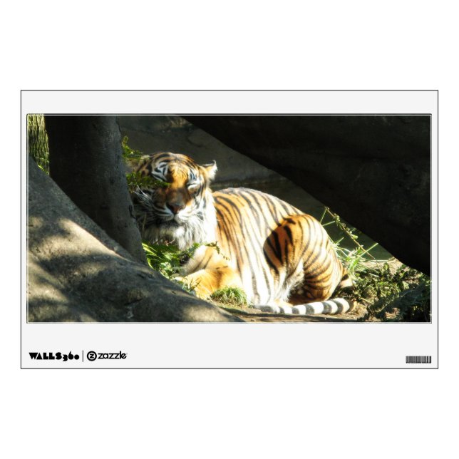 Tiger Catnap Wall Decal (Front)