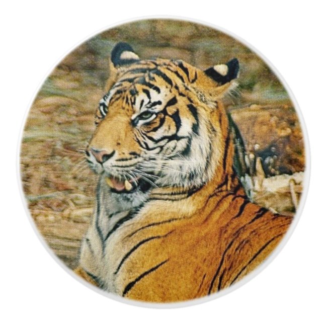 Tiger Ceramic Knob (Front)