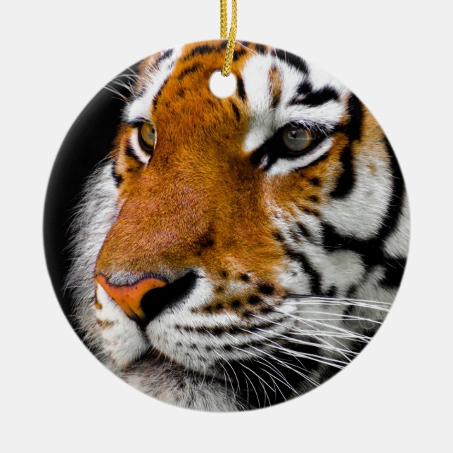 Tiger Ceramic Ornament (Front)