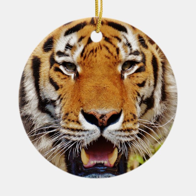 Tiger Ceramic Ornament (Front)
