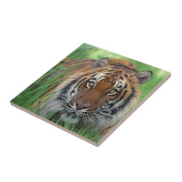 Tiger Ceramic Tile | Zazzle