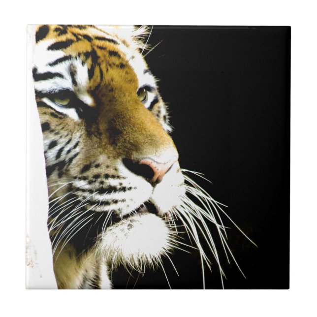 Tiger Ceramic Tile (Front)