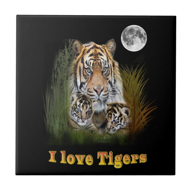 Tiger Ceramic Tile (Front)