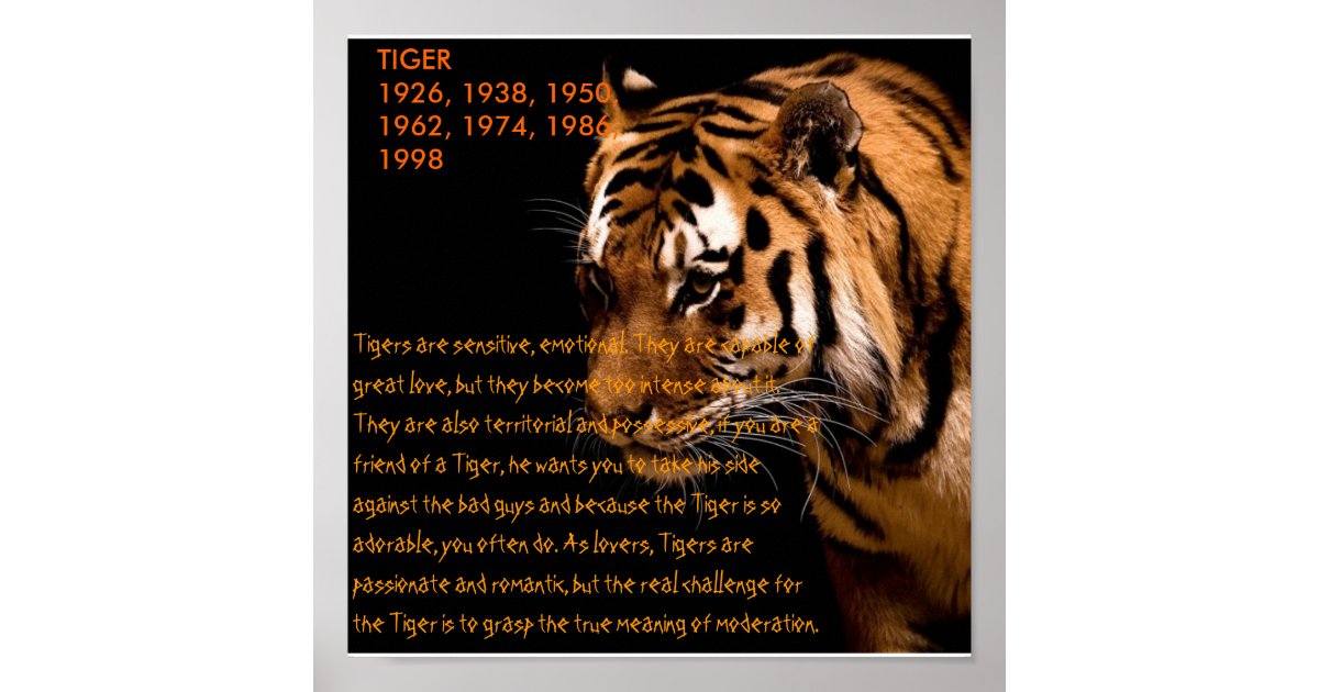 Tiger Chinese Zodiac Poster | Zazzle.com