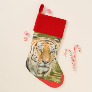 TIGER   Christmas Stocking