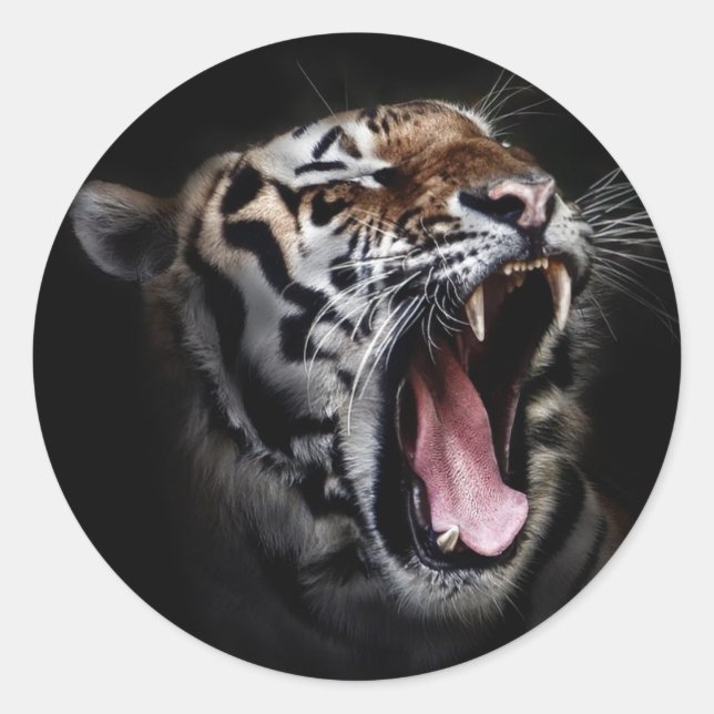 Tiger Classic Round Sticker (Front)