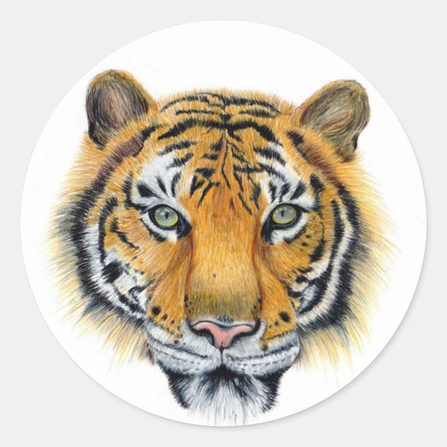 Tiger Classic Round Sticker (Front)
