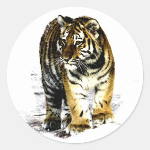 Tiger Classic Round Sticker