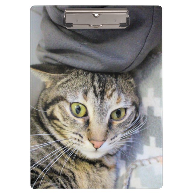 Tiger Clipboard (Front)