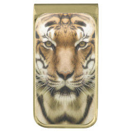 Tiger Close-Up money clip