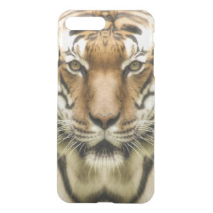Tiger Close-Up phone cases