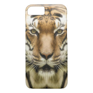 Tiger Close-Up phone cases