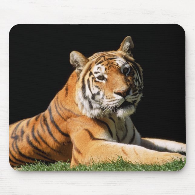 Tiger Closeup Mouse Pad (Front)