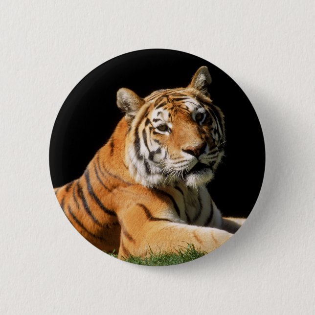 Tiger Closeup Pinback Button (Front)