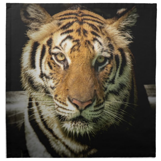 tiger cloth napkin (Front)