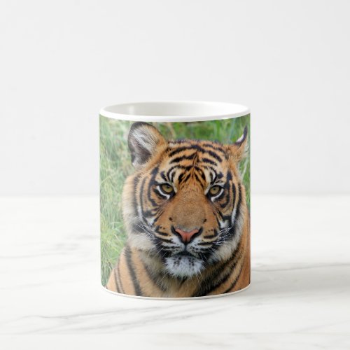 Tiger Coffee Mug