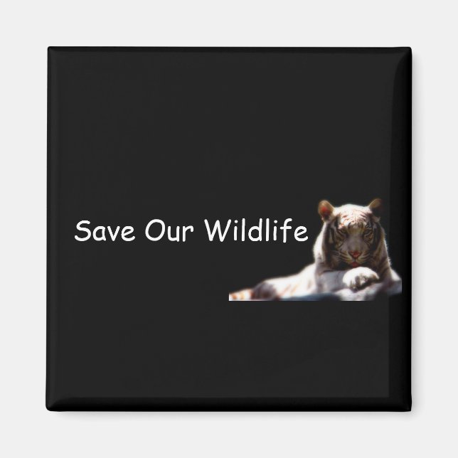 Tiger Conservation Fridge Magnet (Front)
