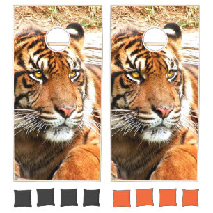 Tiger Cornhole Set