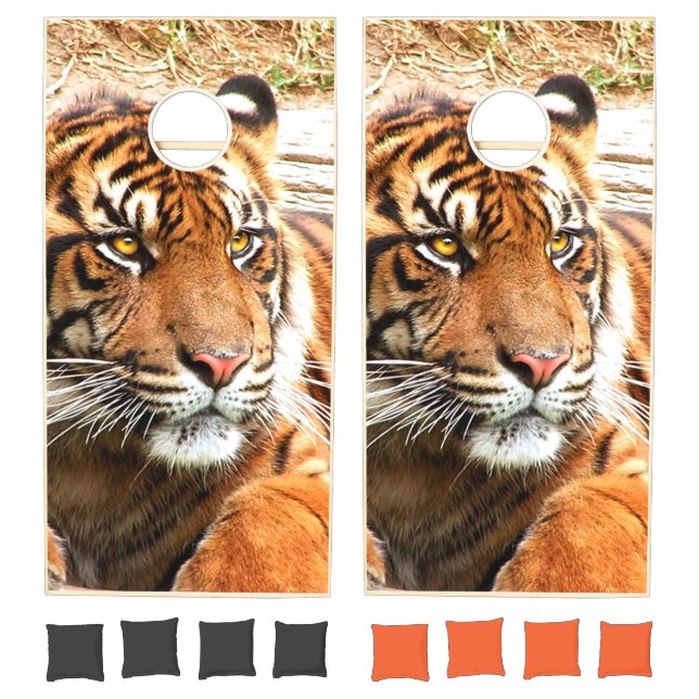 Tiger Cornhole Set (Set)