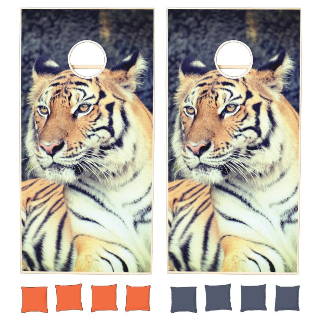 Tiger Cornhole Set (Set)