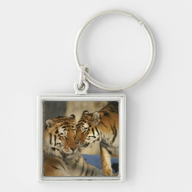 Tiger Couple Keychain (Front)