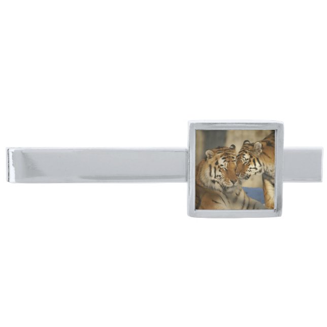 Tiger Couple Tie Bar (Front)