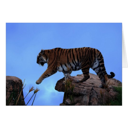 Tiger crossing card