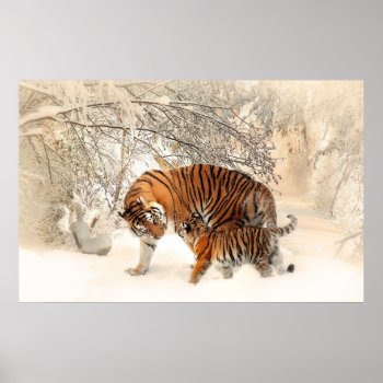 Tiger Cub And Mother In Snow Poster by funny_tshirt at Zazzle