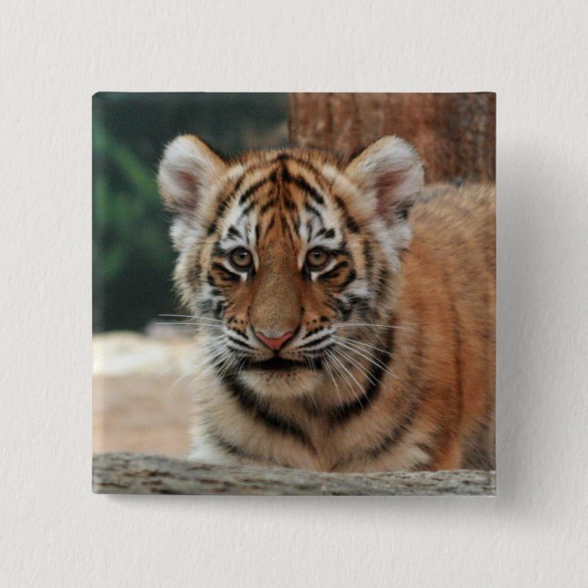 Tiger Cub Button (Front)