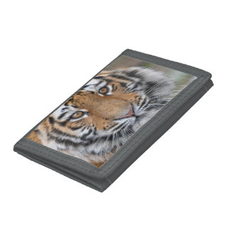 Tiger cub face tri-fold wallet