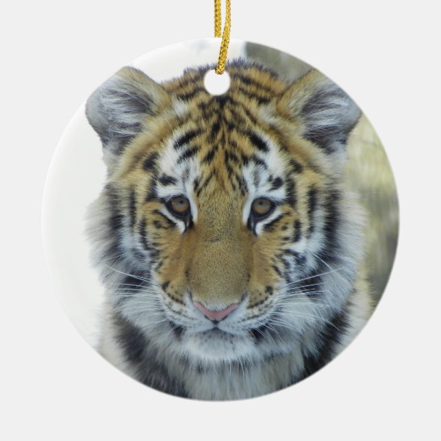 Tiger Cub In Snow Close Up Portrait Ceramic Ornament (Front)