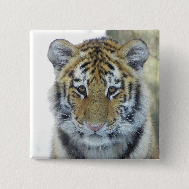 Tiger Cub In Snow Close Up Portrait Pinback Button (Front)