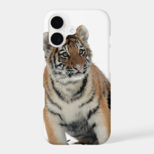 Tiger Cub in the Snow Photo iPhone 17 Case