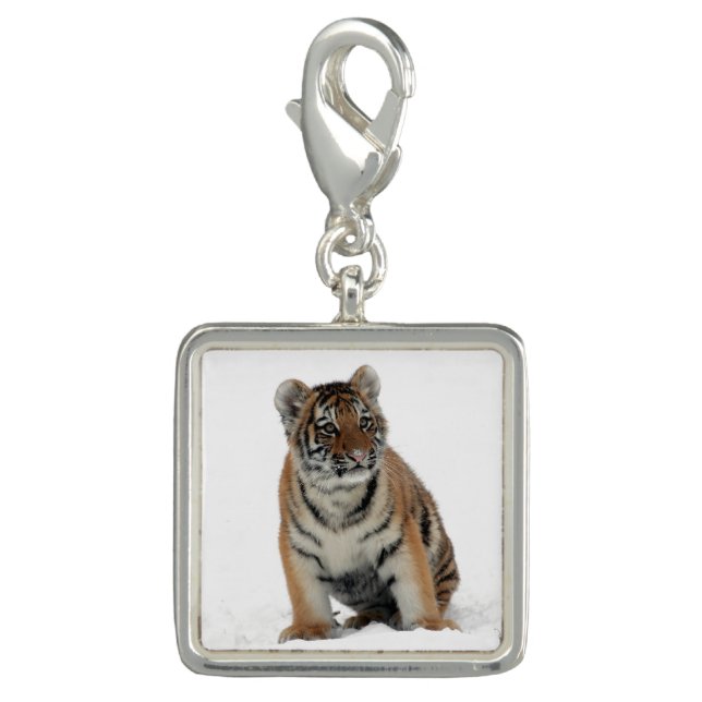 Tiger Cub in the Snow Photo Charm (Front)