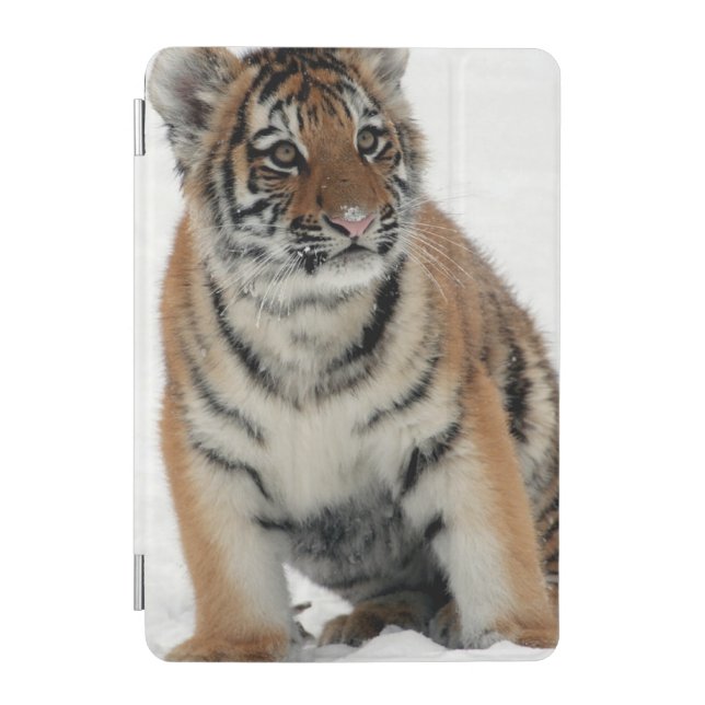 Tiger Cub in the Snow Photo iPad Mini Cover (Front)