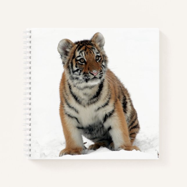 Tiger Cub in the Snow Photograph Notebook (Front)
