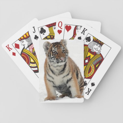 Tiger Cub in the Snow Photograph Poker Cards