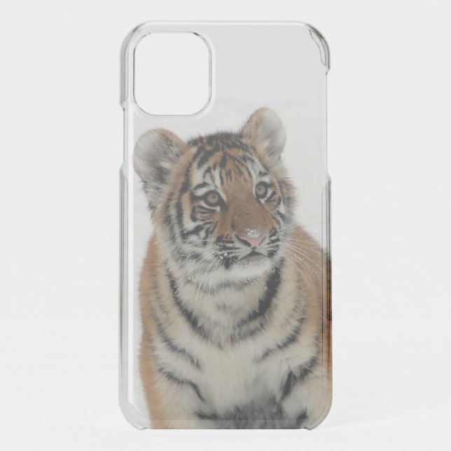 Tiger Cub in the Snow Photograph Uncommon iPhone Case (Back)
