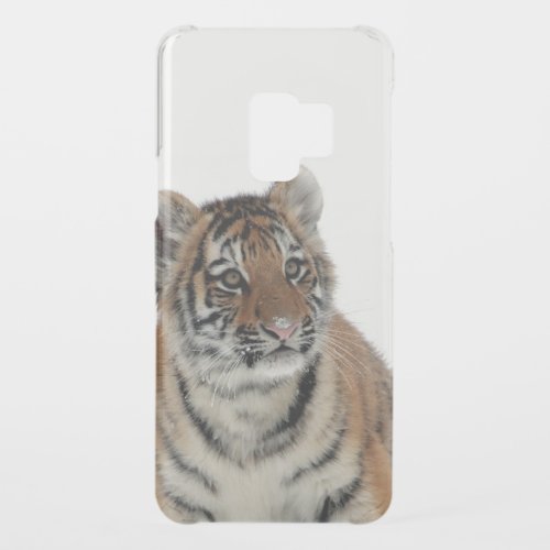 Tiger Cub in the Snow Photograph Uncommon Samsung Galaxy S9 Case