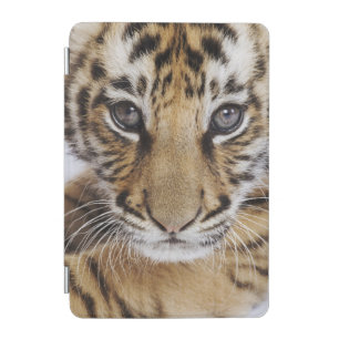 Tiger Cub iPad Mini Cover