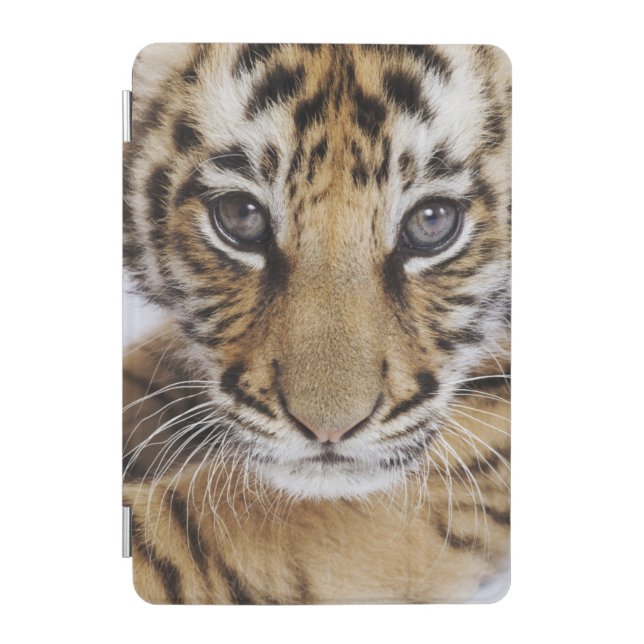 Tiger Cub iPad Mini Cover (Front)