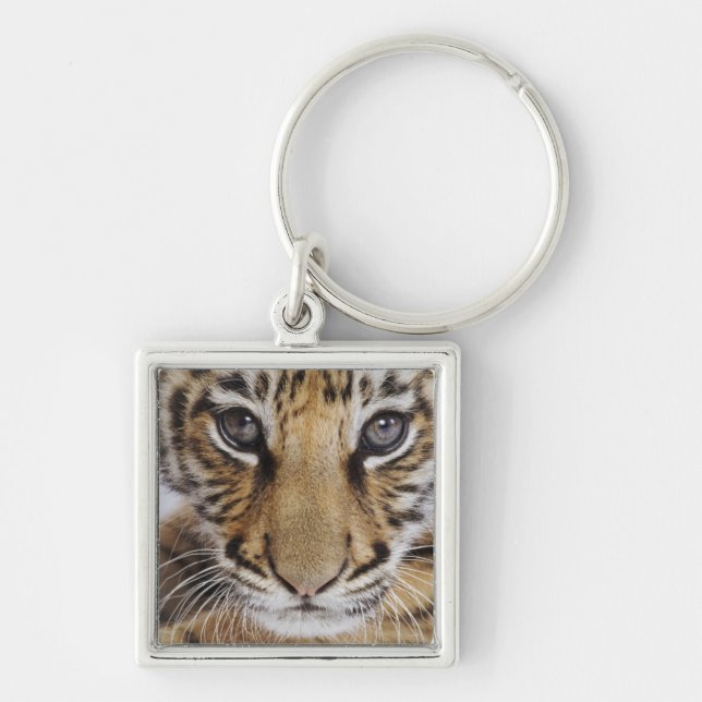 Tiger Cub Keychain (Front)