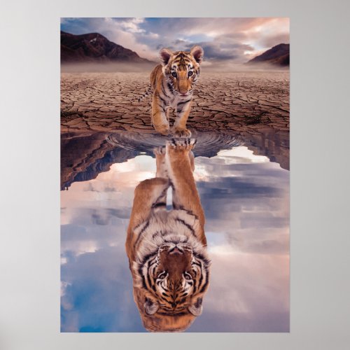 Tiger cub looking the reflection of an adult tiger poster
