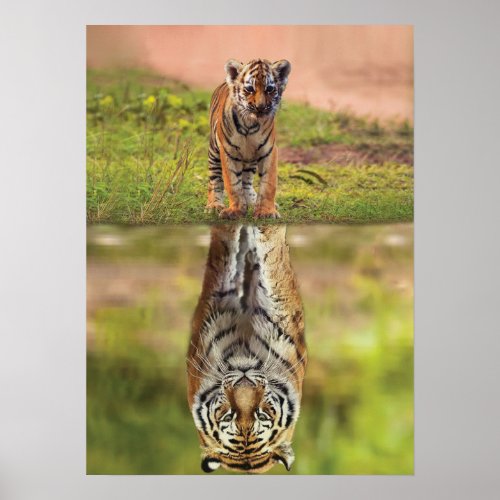 Tiger Cub _ Mindset _ Water Reflection _ Success Poster