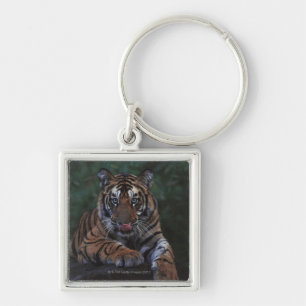 Tiger Cub Reclines on Rock Keychain